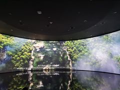 -中国湿地博物馆