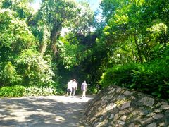-中山公园(石岐街道)