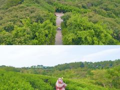 -南湾湖