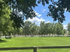 -北京群众马术培训基地