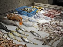 -舟山渔场(临安沙地路店)