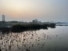 -保定东湖公园(莲池区)