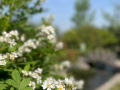 -长安文化生态公园