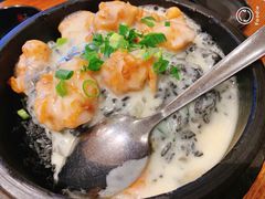 -石锅先生