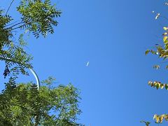 -小白房辣焙子(西落凤街店)