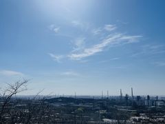 -白水寺森林公园