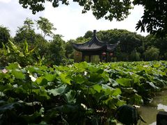 -丝绸小镇荻港古村