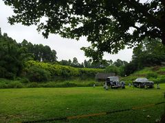 -马咖啡macup·意式轻餐·观景餐厅