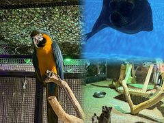 -海合安天津极地海洋公园