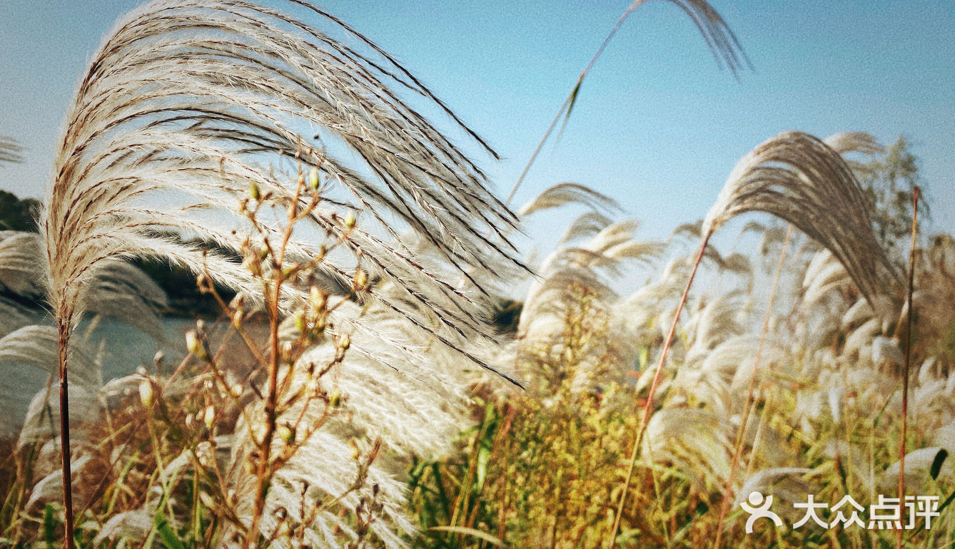 秋日的记忆🍂🍂🍂