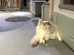 -小时光咖啡馆(开森度假森林店)