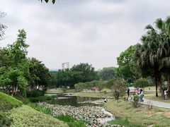 -东莞植物园