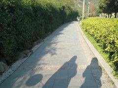 -贵阳市花溪国家城市湿地公园