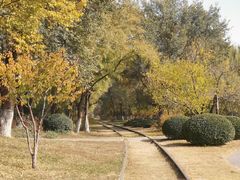 -永定河休闲森林公园