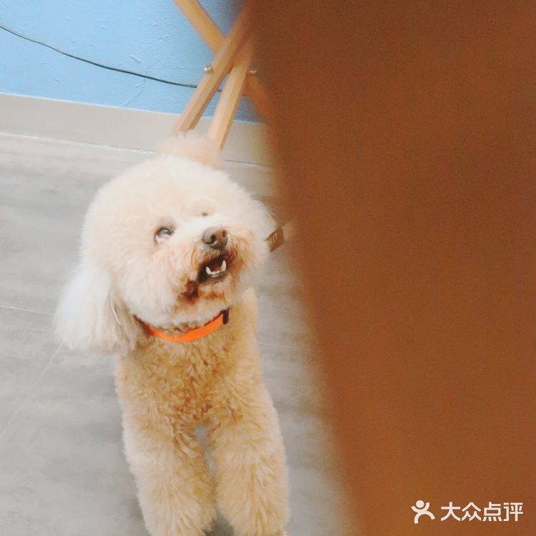 是刚开始的夏天