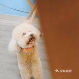 是刚开始的夏天