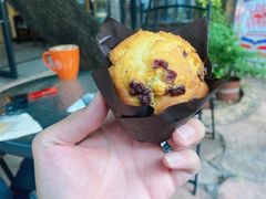 -旧雨咖啡·CoffeeFORU(黄村奥体店)