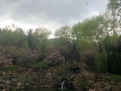 -石岛赤山风景区