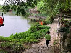 -老木棉·匠园