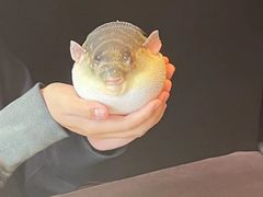 -永安鱼庄·镇江菜(东吴路店)