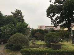 -大可堂普洱茶馆(襄阳南路馆)