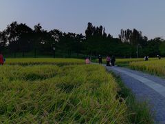 -北坞公园