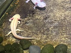 -青青世界