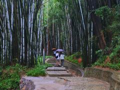 -黄埔油麻山森林公园