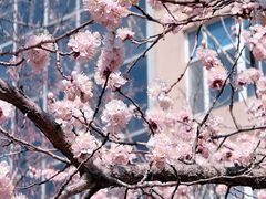 -吉林大学(南岭校区)