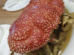 -悉尼鱼市场