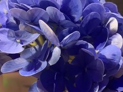 -炉鱼(天河领展店)