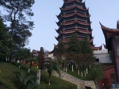 -铁山坪森林公园