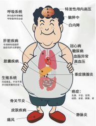 -Fundi张玉珊修身堂·indiba·BTL科技瘦身