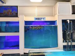 -宜宾海鲜酒家·三十年老字号