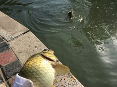 -酷鱼垂钓CLUB(朝阳区博大路店 )