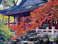 -上海醉白池公园