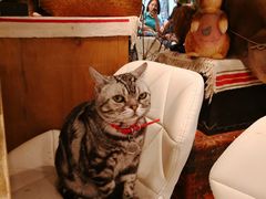 -小时光咖啡馆(北锣鼓巷店)