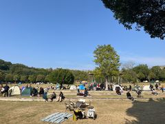 -牛岗山公园