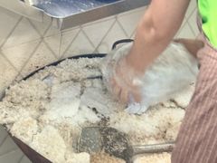 -吉英盐焗鸡(文中路店)