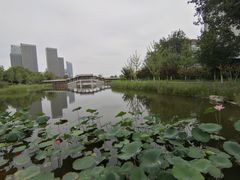 -西海子公园