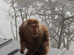 -峨眉山风景名胜区