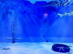 -太平洋海底世界