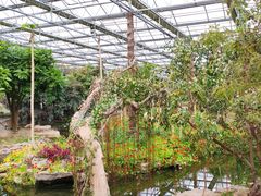 -南通洲际绿博园