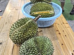 -榴莲一条街