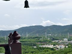 -宜兴龙背山森林公园