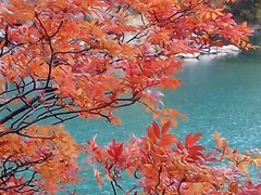 -叠溪松坪沟景区