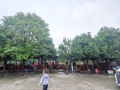 -老杨砂锅鱼庄