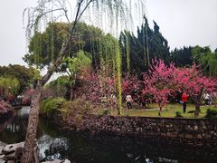 -无锡蠡湖国家湿地公园-蠡园