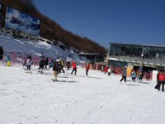 -太子岭滑雪场