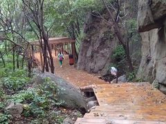 -大岭沟猕猴桃谷风景区